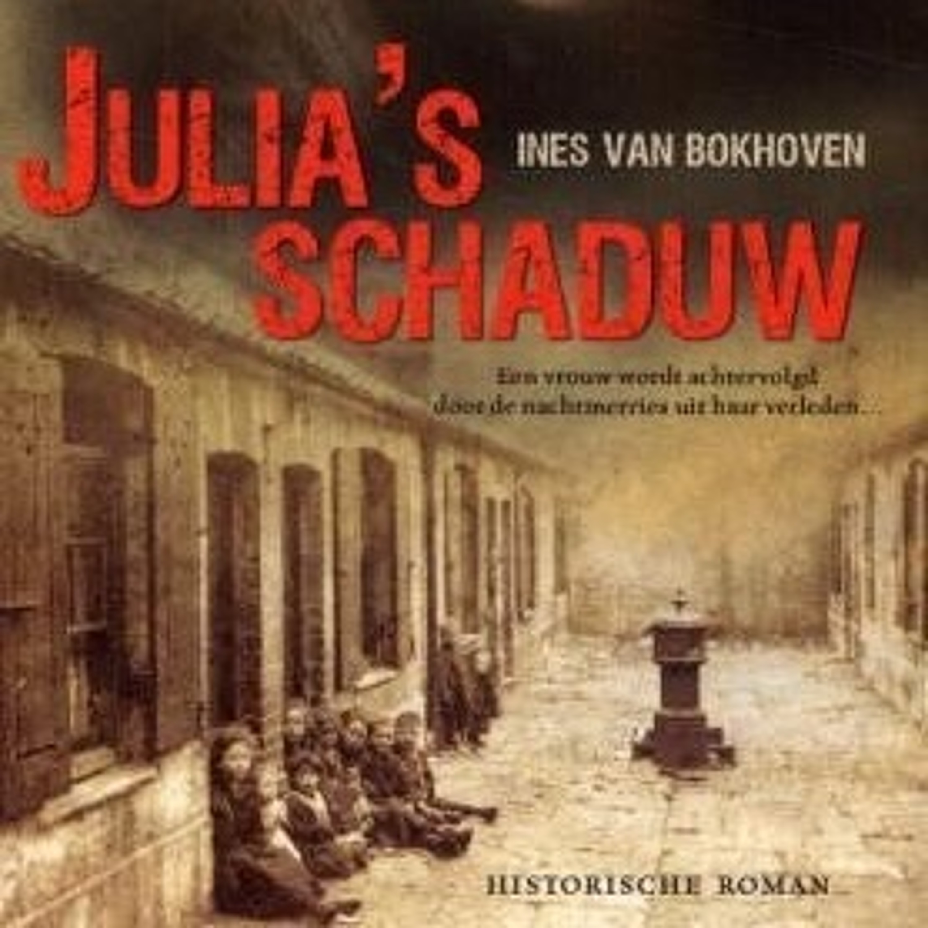 Julia's Schaduw Deel 5 episode artwork