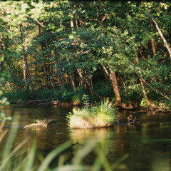 Sarmabot — KuH 2025