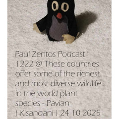 Paul Zentos Podcast 1222 @ These countries offer some of the richest and most diverse wildlife in the world plant species - Pavian – ( Kisangani ) 24 10 2025