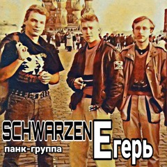 группа SchwarzenЕгерь-Подзаебала жизнь(версия №1- панк-рок).mp3