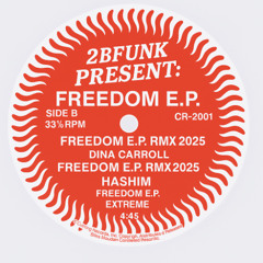 04 2BFunk Pres. Freedom - Dj 2BF conga Rmx