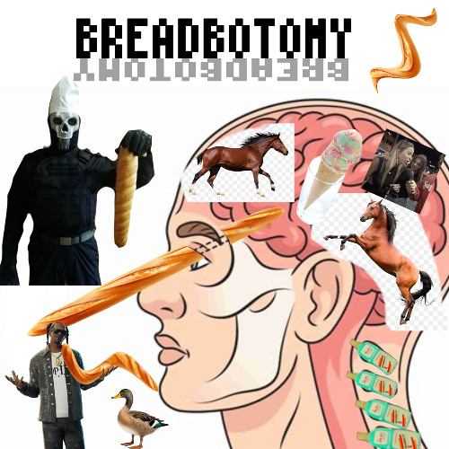 BREADbotomy