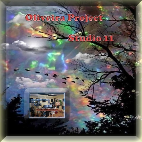 Oliveira Studio 11