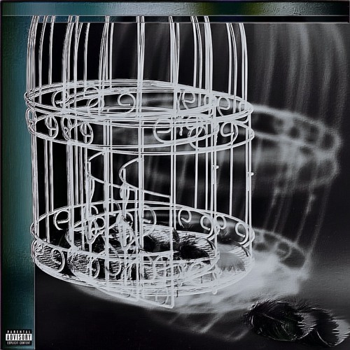 Fine Line (feat. Radwin)