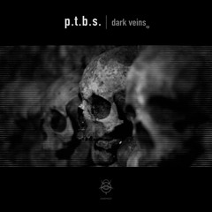 P.T.B.S. - In Your Body (Jim Solis Remix)