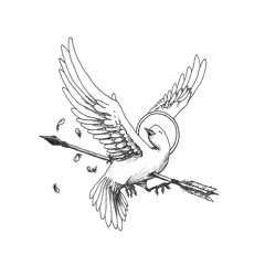 Devouring The Devoted - Barry Uhl