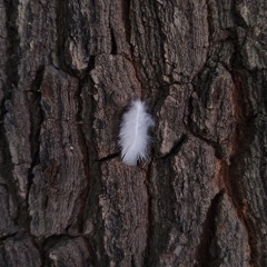 Aura ~ آئورا.mp3