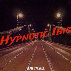 Hypnotic Ibis & A2R soundlab