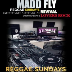Madd Fly Reggae Sundays 18 Feb 24