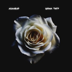asanrap - Шома Тигр