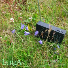 Louise Taylor for LungA BL1SS