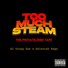 TOO MUCH STEAM - The Private Zess Tape (STEAM)