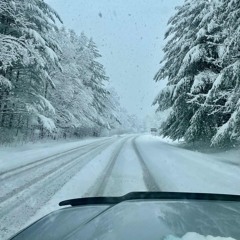 Antarctica (Prod. RayOffkey)