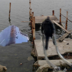 johnnie hit the dock again