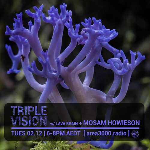 'Triple Vision' 02.12.25 w Lava Brain + Mosam Howieson [area3000.radio]