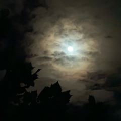 Prelude in C Minor (slower)- Johann Sebastian Bach