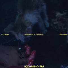 Canino FM | Sidequest w. Raphael | 10 November 2024
