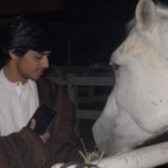 كيف ادور واحد غيرك خليل 🗽