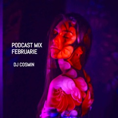 PODCAST MIX - FEBRUARIE - DJ COSMIN 2024