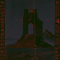 Premiere: Boyd Schidt & Hecate Legacy - Crimson Harvest [RM12]
