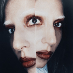 Can't Stop The High - Lady Gaga