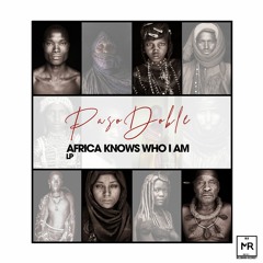 Paso Doble Ft. TroyMusiq - Africa (Paso Doble 3.14 Mix)