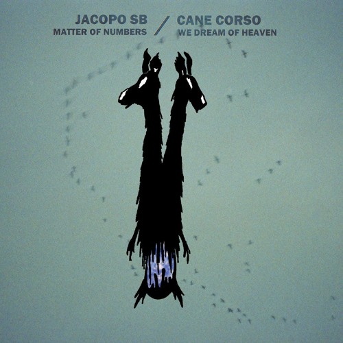 PREMIERE : Cane Corso - Tacos Merguez