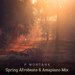 Spring Afrobeats & Amapiano 2025 Mix By P Montana