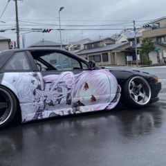 TIKA - DENTRO DO CARRO