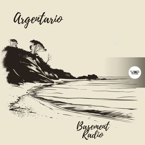 𝐁𝐚𝐬𝐞𝐦𝐞𝐧𝐭 𝐑𝐚𝐝𝐢𝐨 - 𝐀𝐫𝐠𝐞𝐧𝐭𝐚𝐫𝐢𝐨 (Camel VIP Records)