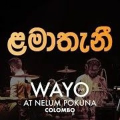 WAYO Live  Lamathani ළමාතැනී. Sangeeth Wijesuriya