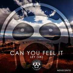 LEY(UK) - Can You Feel It