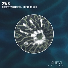 2WB - Groove Vibration (Original Mix)