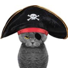 HomeAloneinaFuckedupWorld