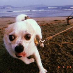 While I'm Alone - The Mind is a Terrible Thing (Cover)