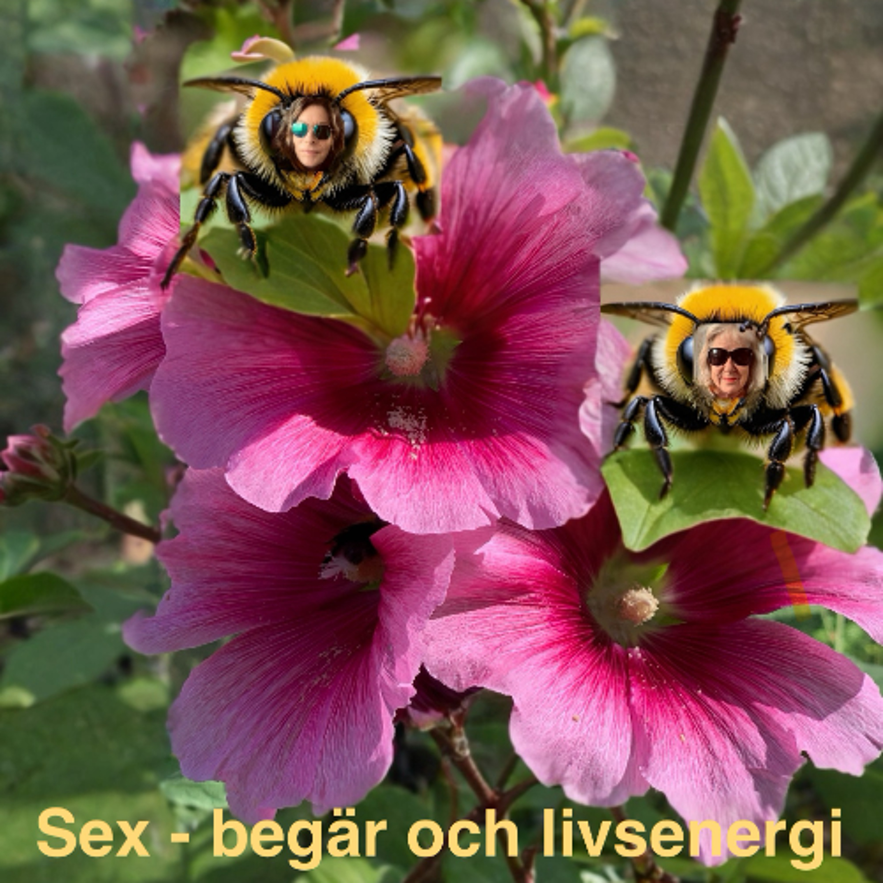 Psykoterapeuter pratar på