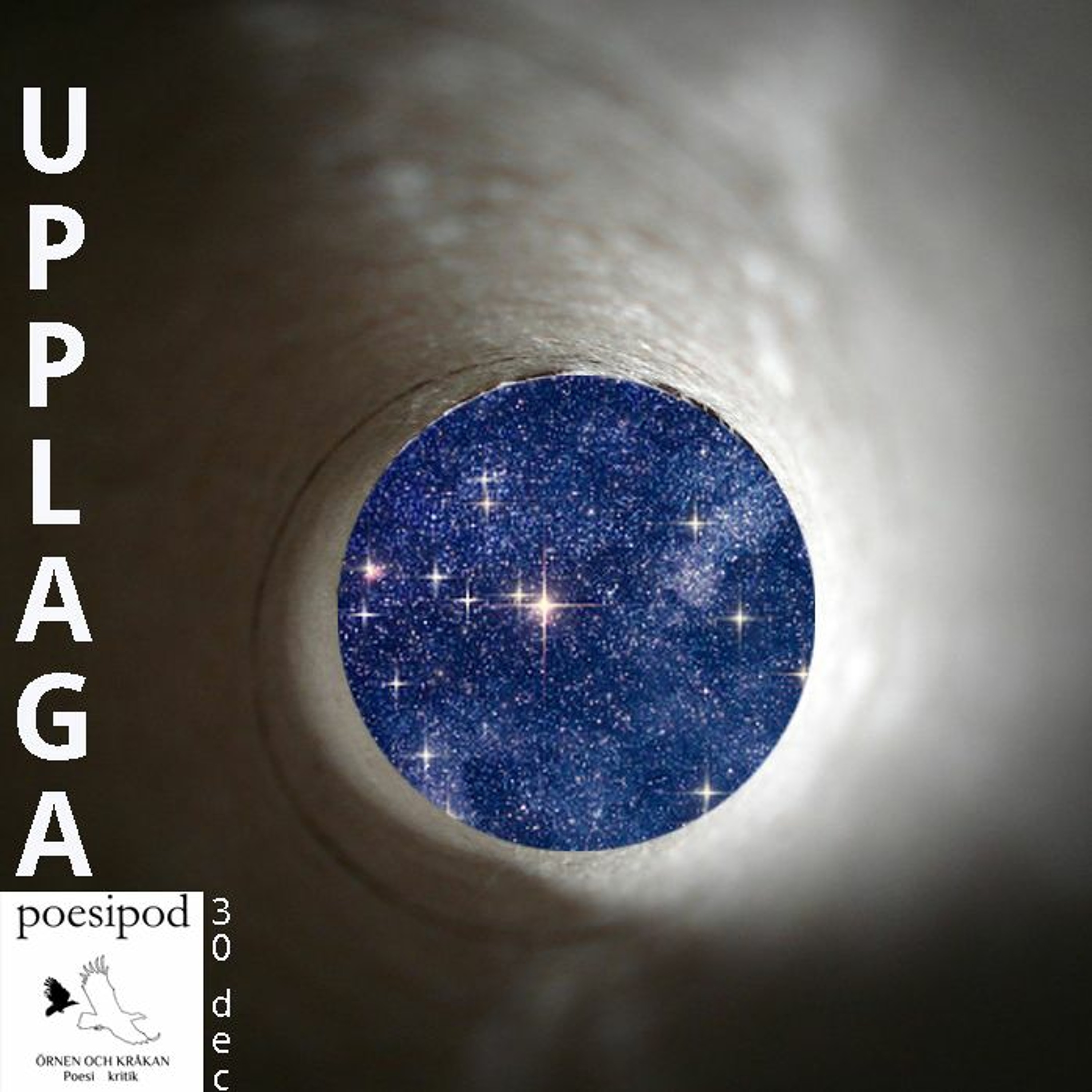 ÖRNEN OCH KRÅKANs Poesipod