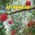 Artwork for Ayi Bahaar