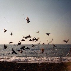 i can and i will first demo - searows.mp3