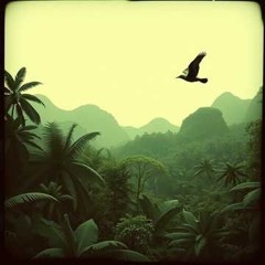 Vector Bird Mizo Siddharth Dashsharma