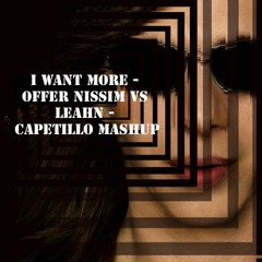 I Want More - Offer Nissim Vs Leahn - Capetillo MaShup