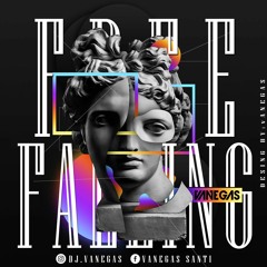 FREE FOLLING - VANEGAS LIVE SET