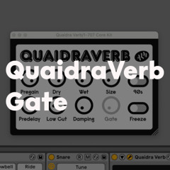 QuaidraVerb Gate