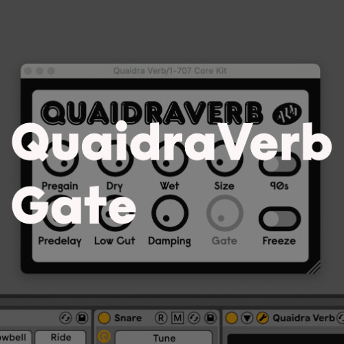 QuaidraVerb Gate