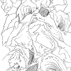 Stefan Christoff - Live at Willem de Zwijgerkerk Church, Amsterdam (Jan. 2023)