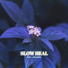 Slow Heal (w/ Tah.)