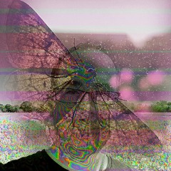 mothmask