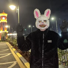 ASLAN YAKIŞMAZ KAFESTE