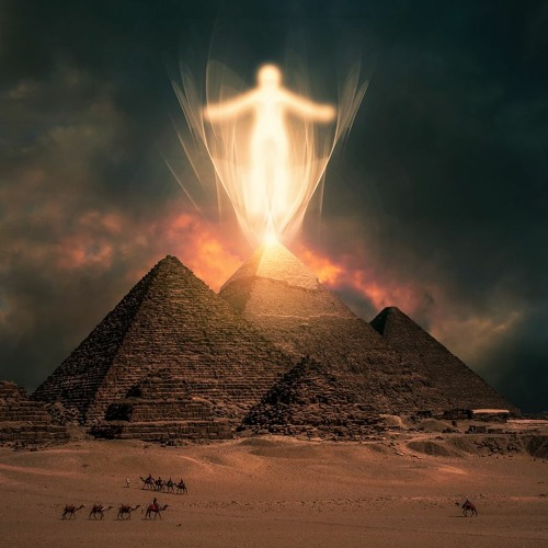 behold the great shploveneightor awakens