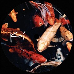A1 - Raveld - Drifting Voices